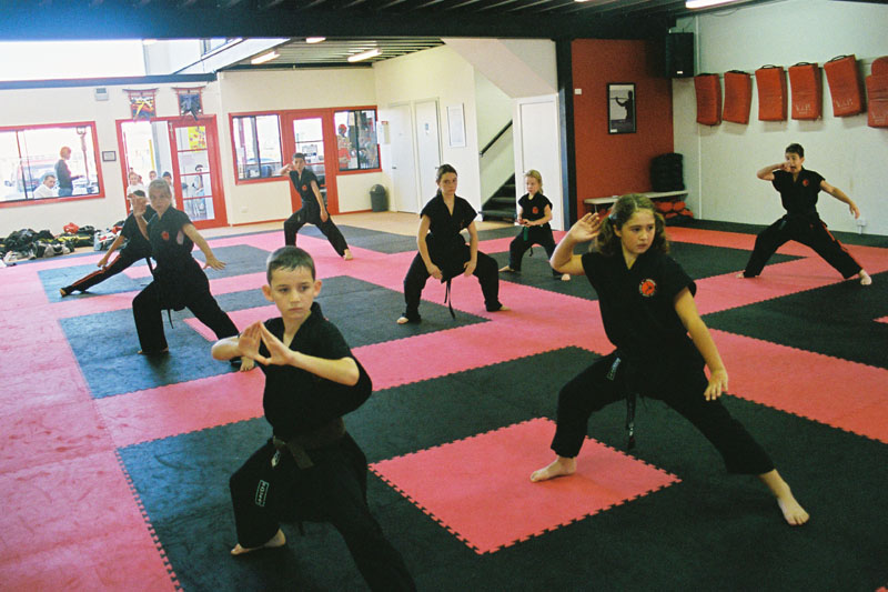 Proactive Team Freestyle training